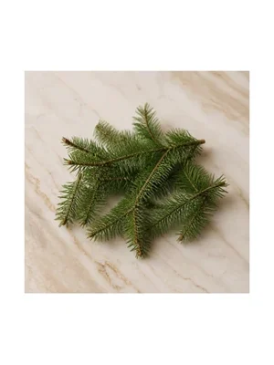 Douglas Fir