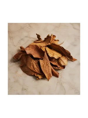 Dried Fallen Leaves