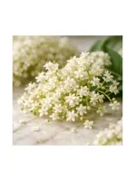 Elderflower
