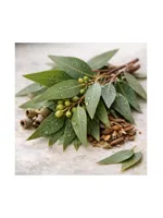 Eucalyptus