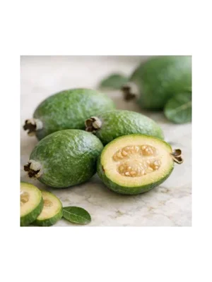 Feijoa Fruit
