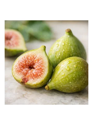 Fig