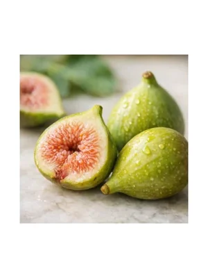 Fig