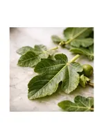 Fig Leaf