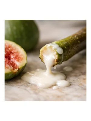 Fig Milk