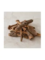 Fig Tree Bark