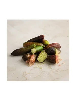 Finger Lime