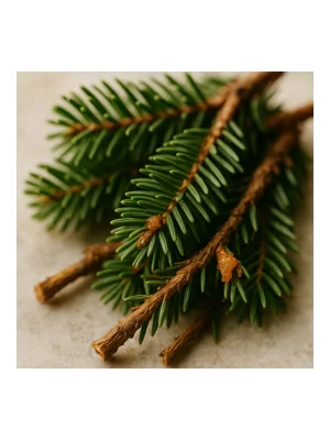 Fir