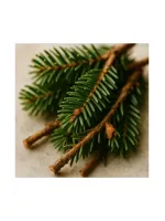 Fir