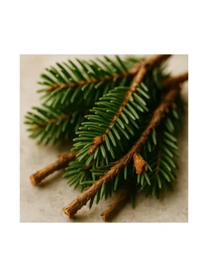 Fir