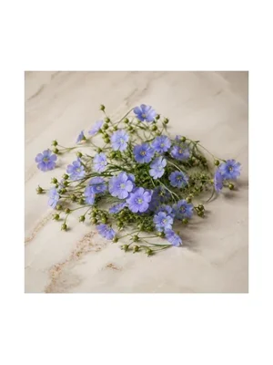 Flax Blossom