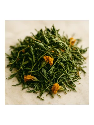 French Marigold