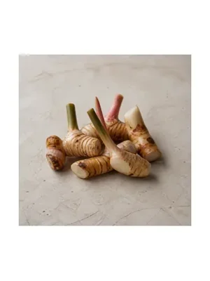Galangal