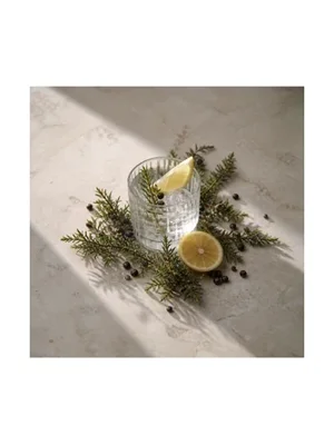 Gin