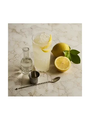 Gin Fizz