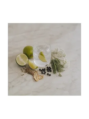 Gin Tonic