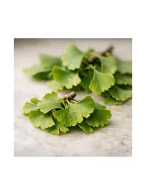Ginkgo
