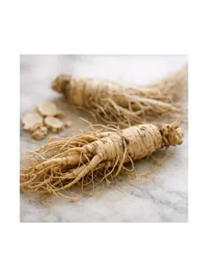 Ginseng