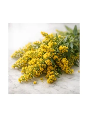 Goldenrod