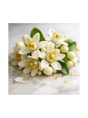 Grapefruit Blossom