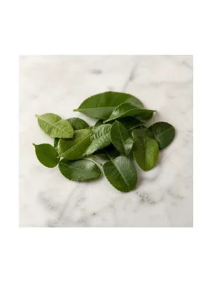 Grapefruit Leaf