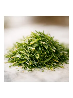 Grass
