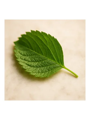green leaf