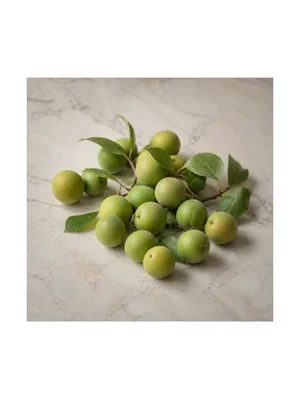Green Plum