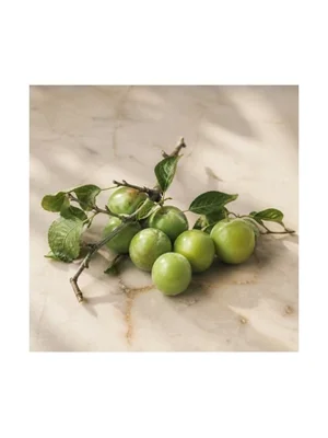 Greengage