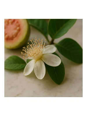 Guava Blossom