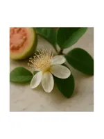 Guava Blossom