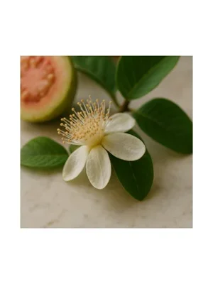 Guava Blossom