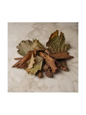 Hamamelis