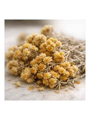 Immortelle