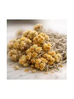 Immortelle