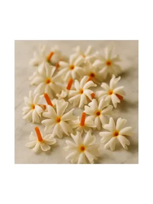 Indian Coral Jasmine
