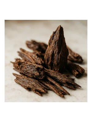 Indian Oud