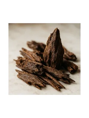 Indian Oud