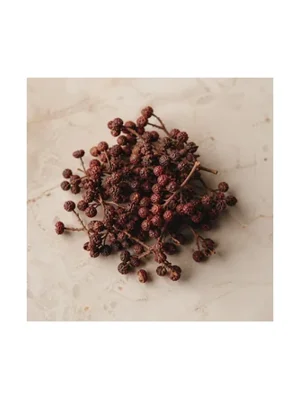 Indian Prickly Ash