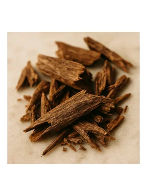 Indonesian Oud