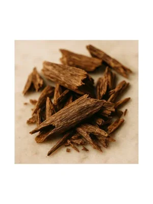 Indonesian Oud