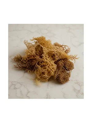 Irish Moss