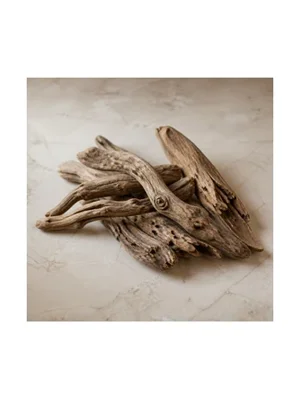Italian Olive Tree Wood