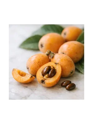 Japanese Loquat