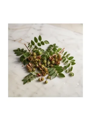 Japanese Pepper