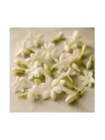 Jasmine Petals