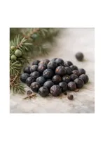 Juniper