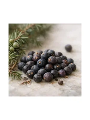 Juniper