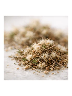 Kunzea