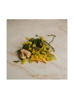 Laburnum